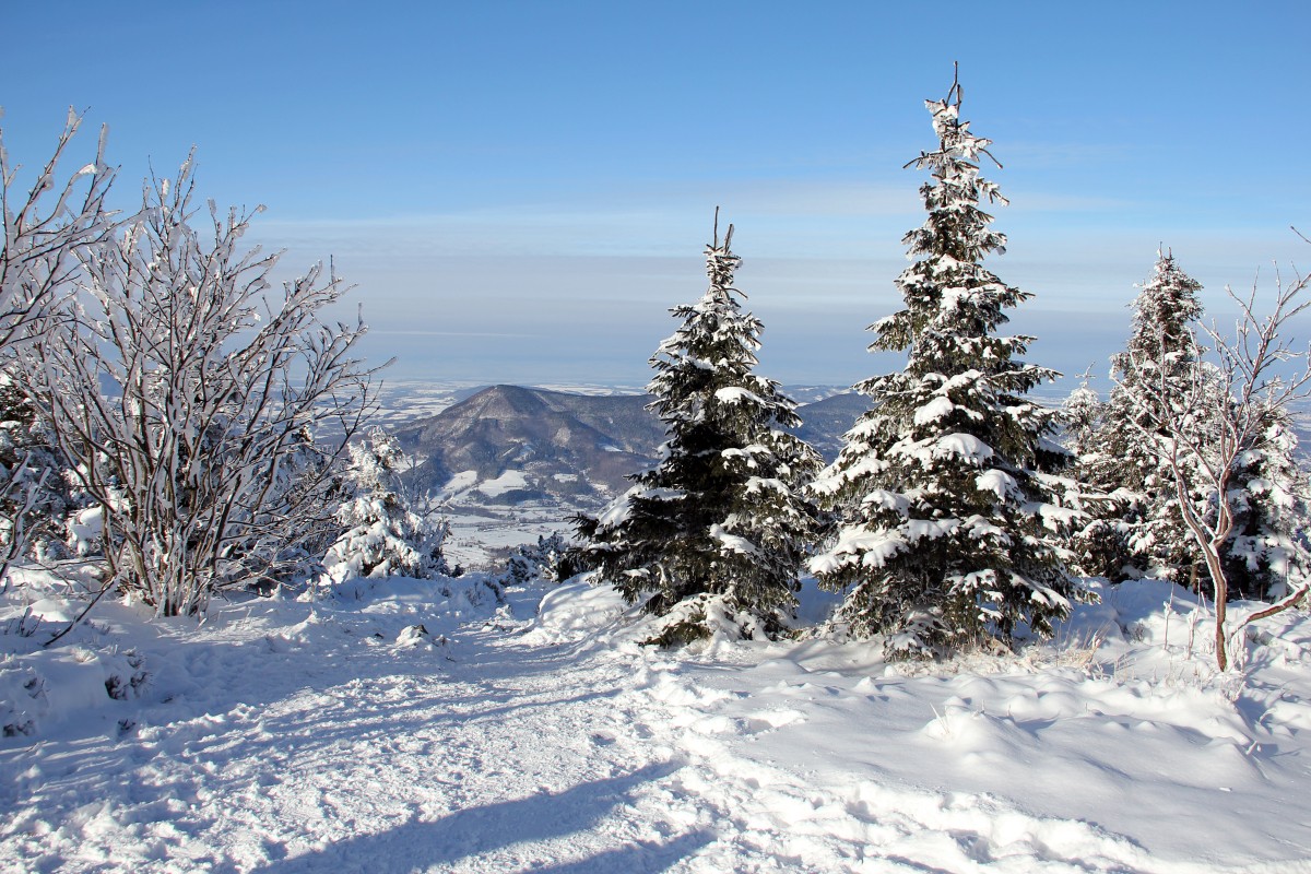 img00062.jpg