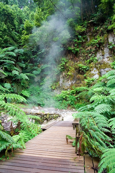 img00186.jpg