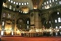 thn00048.jpg