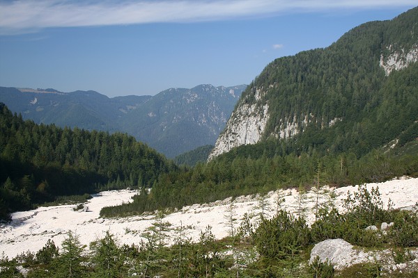 img00063.jpg