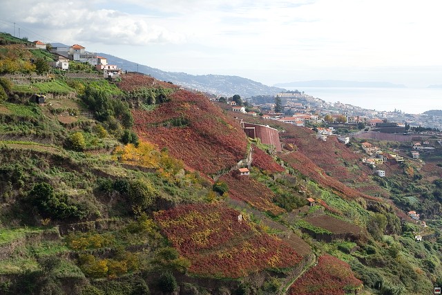 img00033.jpg