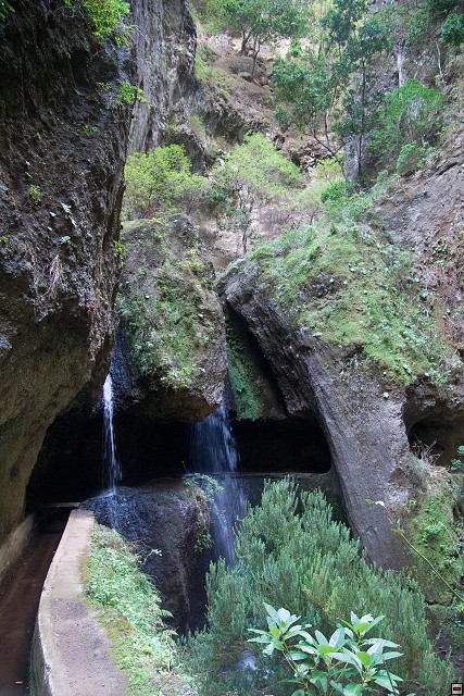 img00112.jpg