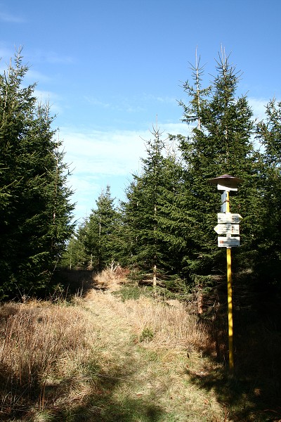img00056.jpg